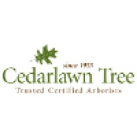 Cedarlawn Tree