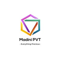Madini PVT logo - Similar company to Afrivoyos