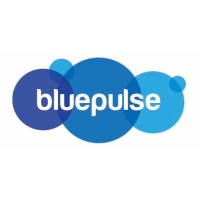 BluePulse Ventures Private Limited logo - Similar company to Bluepulse