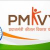 Pradhan Mantri Kaushal Vikas Yojana logo - Similar company to Roots Foundation