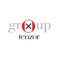 Tenzor Group logo - Similar company to Sensor D.O.O.