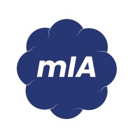 Mlinzi IA logo - Similar company to Nk Global
