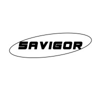 BETRON VIETNAM CO., LTD logo - Similar company to Đồng Nhất Technology Group