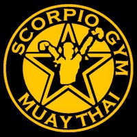 SCORPIO GYM logo - Similar company to East West Connection Martial Arts & Wellness