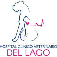 Hospital Clínico Veterinario del Lago logo - Similar company to Ecm Ingeniería S.A.