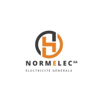 Normelec SA logo - Similar company to Intechs
