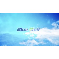 Guangdong Blue Si & F New Materials Co., Ltd. logo - Similar company to Guangdong Toupack Intelligent Equipment Co., Ltd.