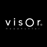 VisorHeadHunter logo - Similar company to Lsi Group