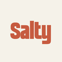 AGENCE SALTY logo - Similar company to La Team Durable