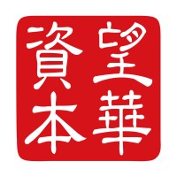 望华资本（Merger China Group） logo - Similar company to Capit'Vize