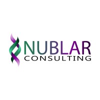 Nublar Consulting logo - Similar company to Gecko, Inc.