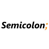 Semicolon Informatics GmbH logo - Similar company to Bitblox