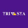 Trivasta logo - Similar company to Amit Groups