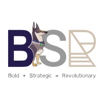 BSR Consulting, LLC logo - Similar company to Diagnoss