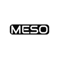 MESO logo - Similar company to Meso Group
