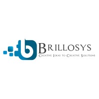 BrilloSys logo - Similar company to Motsebone Technologies