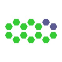 Néctica logo - Similar company to Puna Studio