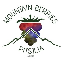 MOUNTAIN BERRIES PITSILIA logo - Similar company to Pestnu