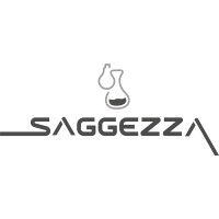 Saggezza Brasil logo - Similar company to Sector 7G