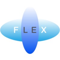 Flex Software logo - Similar company to Yappi