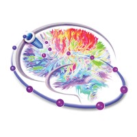 Subcortical Surgery Group logo - Similar company to Thedevicedr