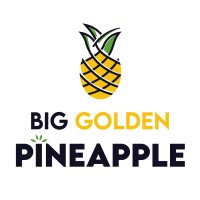 Big Golden Pineapple Limited logo - Similar company to Everchain®