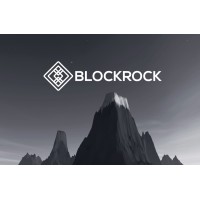 BlockRock Group logo - Similar company to Smartcustoms