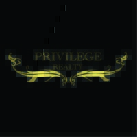 Privilege United Group logo - Similar company to Shoofi Dmcc