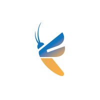 Firefly Energy Solutions
