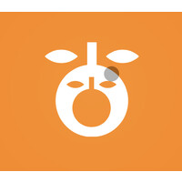 The Orange Record