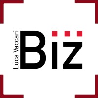 BizExpert Spain by Luca Vaccari logo - Similar company to Naikegroup Sl