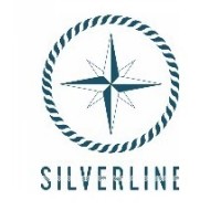 Silverline LLC logo - Similar company to Teus