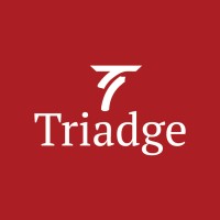 Triadge logo - Similar company to Manpriya Foundation