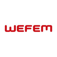 wefemextrusorasoficial logo - Similar company to Wortex Máquinas E Equipamentos