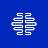 SINAPSIS logo - Similar company to Orsa