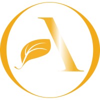 Althen Financial Solutions, Llc