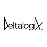 DeltalogiX logo - Similar company to Techmode