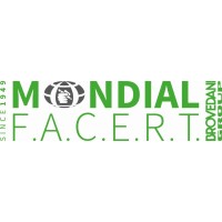 MONDIAL F.A.C.E.R.T. S.r.l. logo - Similar company to Lm.T. Srl