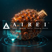 AIREI logo - Similar company to Exitando Sdn Bhd