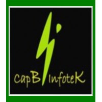 CapB InfoteK logo - Similar company to 4Th Dimension Emr, Inc