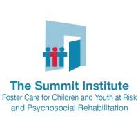 Summit Institute logo - Similar company to Feeldare Ltd.