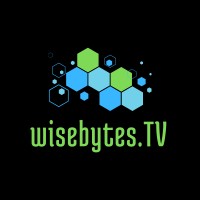 WiseBytes.tv logo - Similar company to Wise Roots Marketing Agency