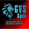 GVS SPED logo - Similar company to Focus Logistics, Uab