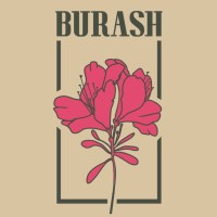 Burash logo - Similar company to Imydigital