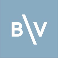 BV Conseil logo - Similar company to Bv Advisory Group