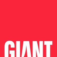 Giant Studio logo - Similar company to Ontrack Management Solutions Ltd