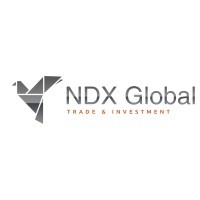 NDX Global for Trade and Investment logo - Similar company to Iokonect