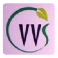 V V S Systems And Solutions logo - Similar company to Unitec Process Private Limited