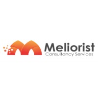 Meliorist Consultancy Services Private Limited logo - Similar company to Techslave.In