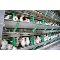 Tangshan Poultry Farm Equipment Factory logo - Similar company to Mfasha Farming Solutions